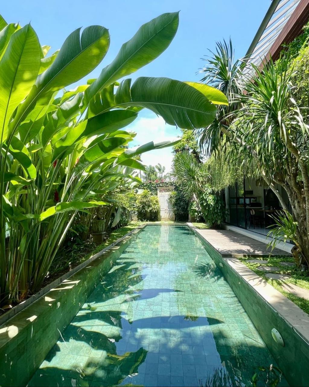 WhatsApp Image 2025-12-21 at 20.54.44 (1)