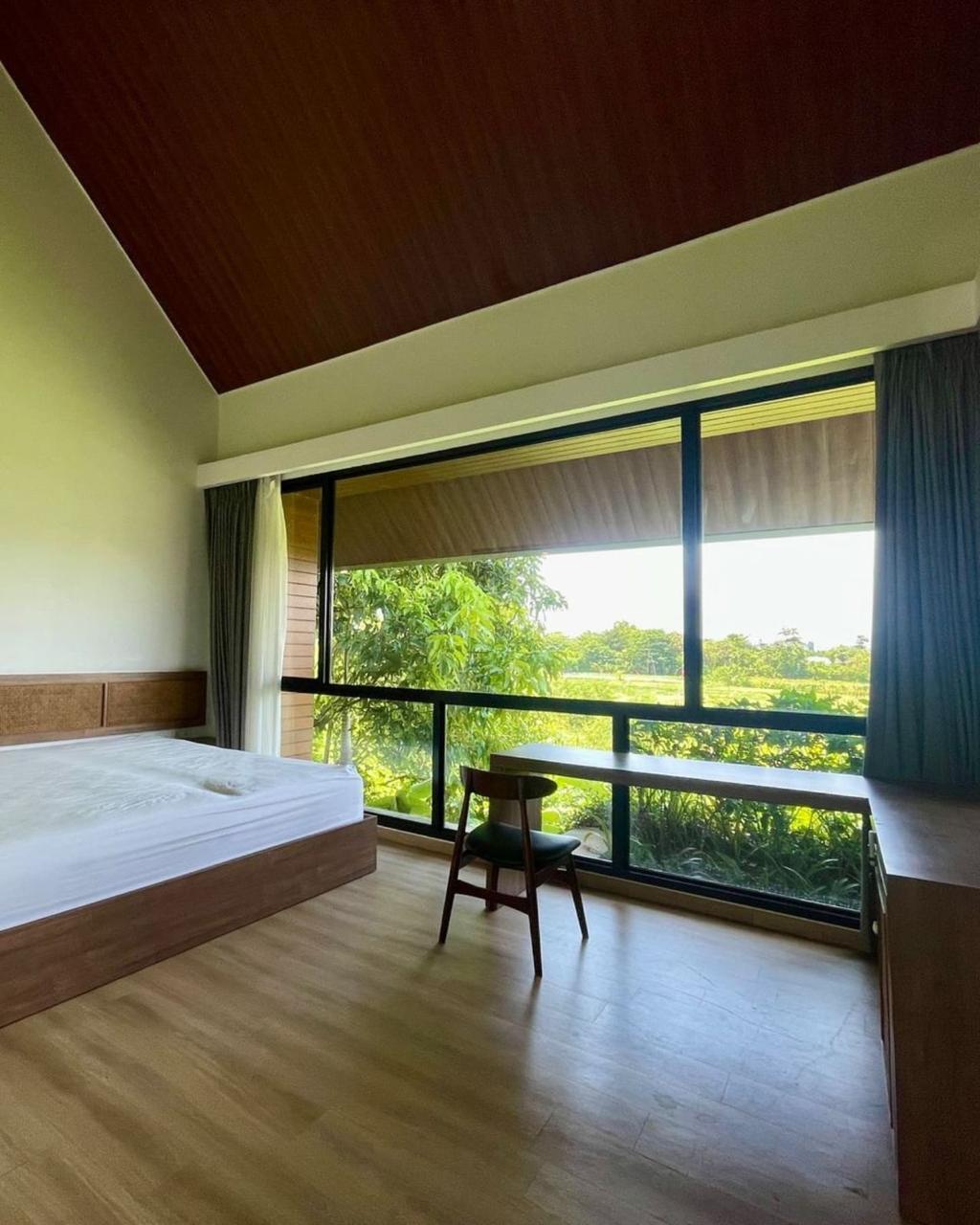 WhatsApp Image 2025-12-21 at 20.54.44 (4)