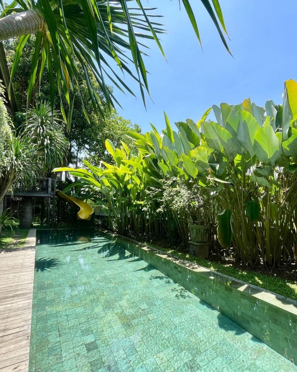 WhatsApp Image 2025-12-21 at 20.54.44